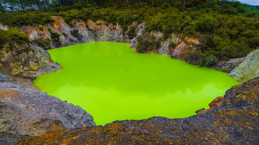 Auckland: Hobbiton, Rotorua and Wai-O-Tapu Day Tour - Guides make the trip: stories, timing, and safe driving