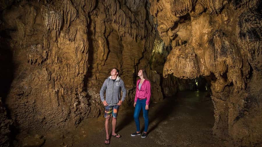 Auckland: Hobbiton, Waitomo Caves, and Rotorua 1-Way Tour - Guide Energy Matters, and This One Can Be a Highlight