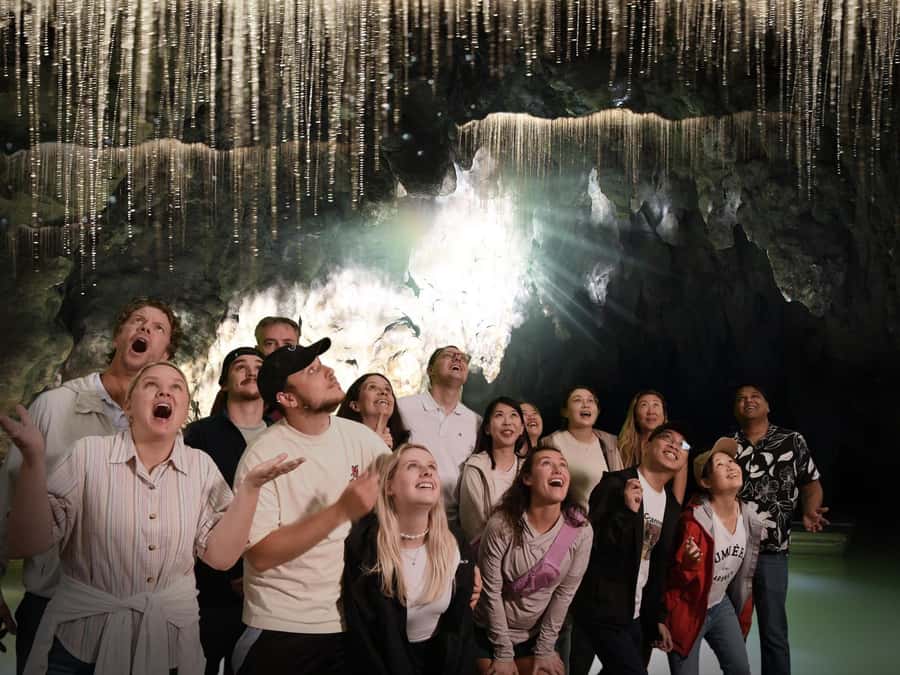 Auckland: Hobbiton & Waitomo Caves Small-Group Tour & Lunch - Waitomo Glowworm Caves: stalactites, stalagmites, and the silent boat ride