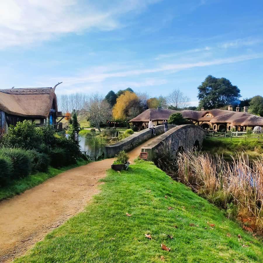 Auckland: Hobbiton & Waitomo Caves Small-Group Tour & Lunch - Guides, comfort, and why the group size matters more than you think