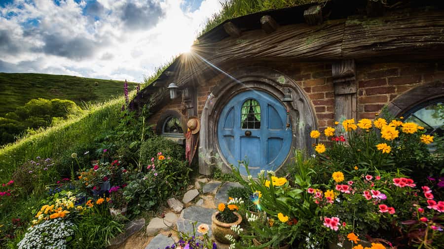 Auckland: Hobbiton & Waitomo Caves Small-Group Tour & Lunch - Price and value: what you’re really paying for at $226 per person