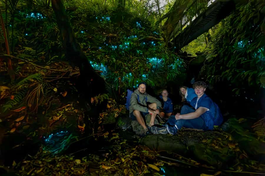 Auckland: Inner-City Glowworm Experience in Ancient Volcano - Why Auckland Domain’s Pukekawa Volcano Works So Well at Night