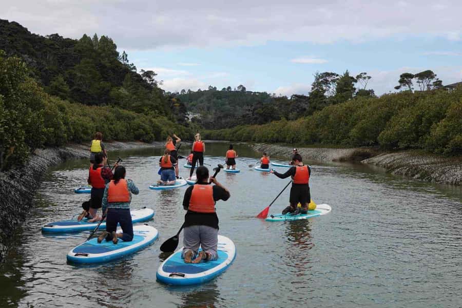 Auckland: Lucas Creek Waterfall SuP Tour - Key things that make this SuP tour worth your time