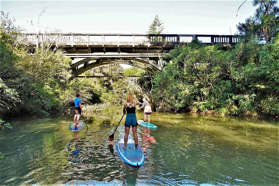 Auckland: Lucas Creek Waterfall SuP Tour - Albany and Lucas Creek: why this water is great for SUP
