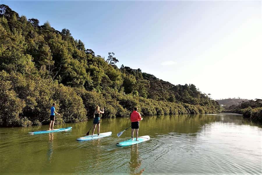 Auckland: Lucas Creek Waterfall SuP Tour - The paddle out: group navigation, quiet scenery time, and guidance