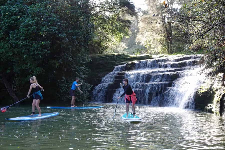 Auckland: Lucas Creek Waterfall SuP Tour - Meet at 31 Wharf Road, then get your gear and bearings fast