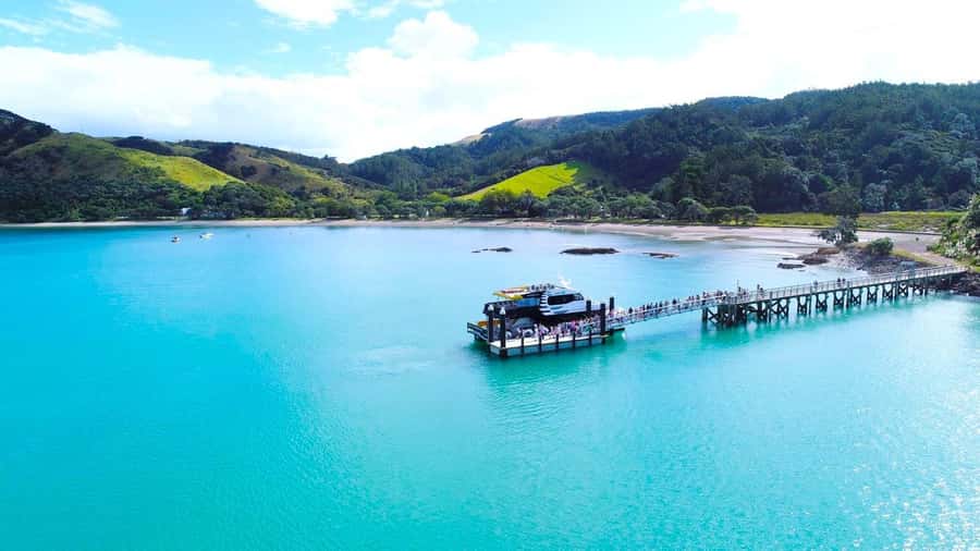 Auckland: Man O' War Vineyard Ferry (Waiheke Island) - The island plan: 3.5 hours of freedom at Man O’ War