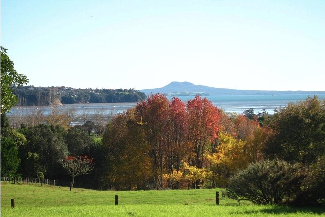 Auckland Nature Tour - Why This Auckland Nature Tour Clicks for First-Time Visitors