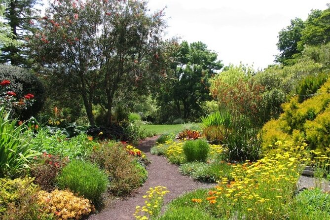 Auckland Nature Tour - Ayrlies Garden & Wetlands: 2 Hours of Ponds, Waterways, and Native Plants