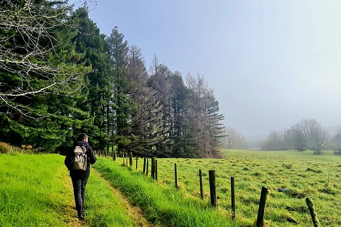 Auckland Nature Tour - Guides Matter More Than You’d Think, and This Tour Has Strong Ones