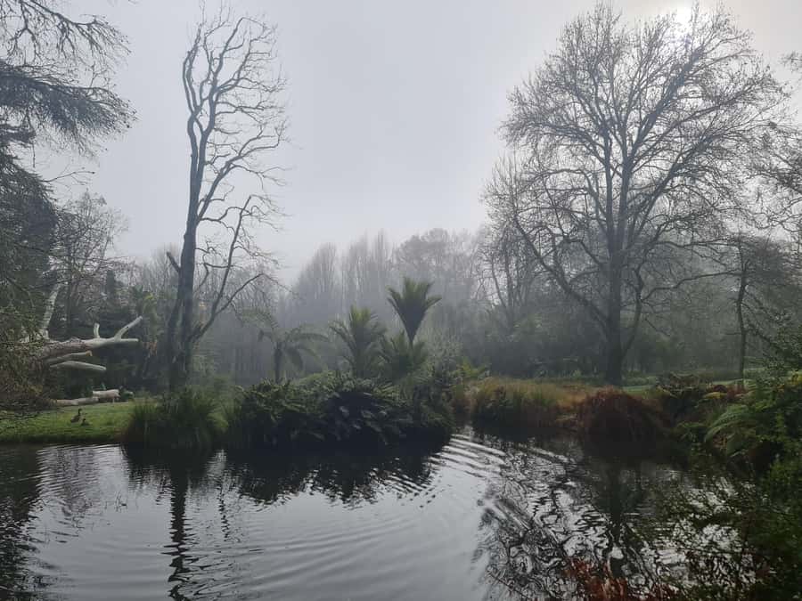 Auckland Nature Tour - Booking Checklist: How to Prepare So the Day Feels Easy