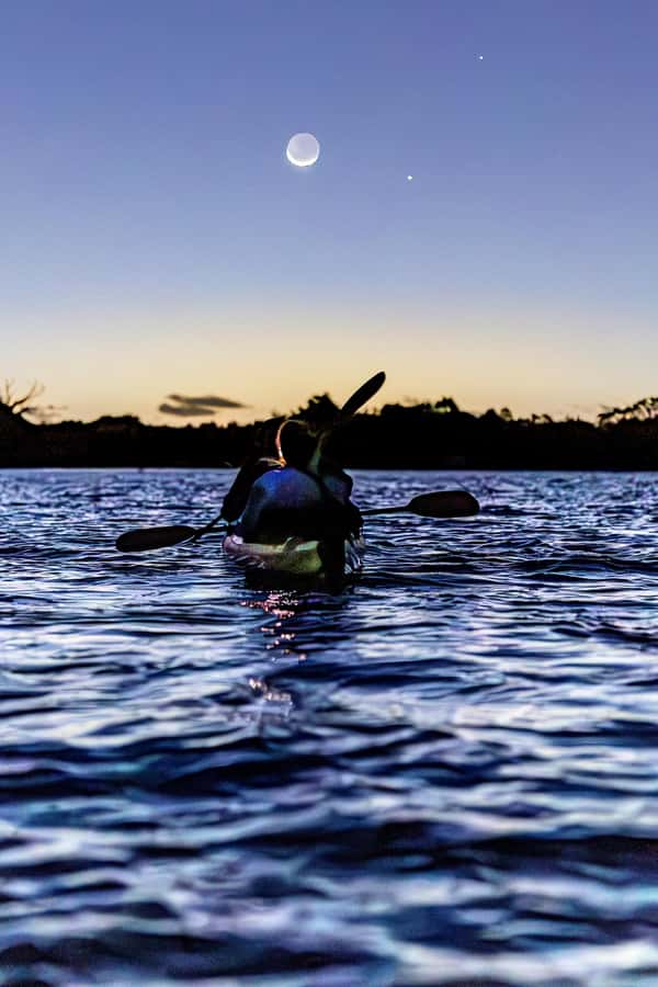 Auckland: Night Kayak Tour in Glowing Bioluminescent Waters - Key Things to Know Before You Go