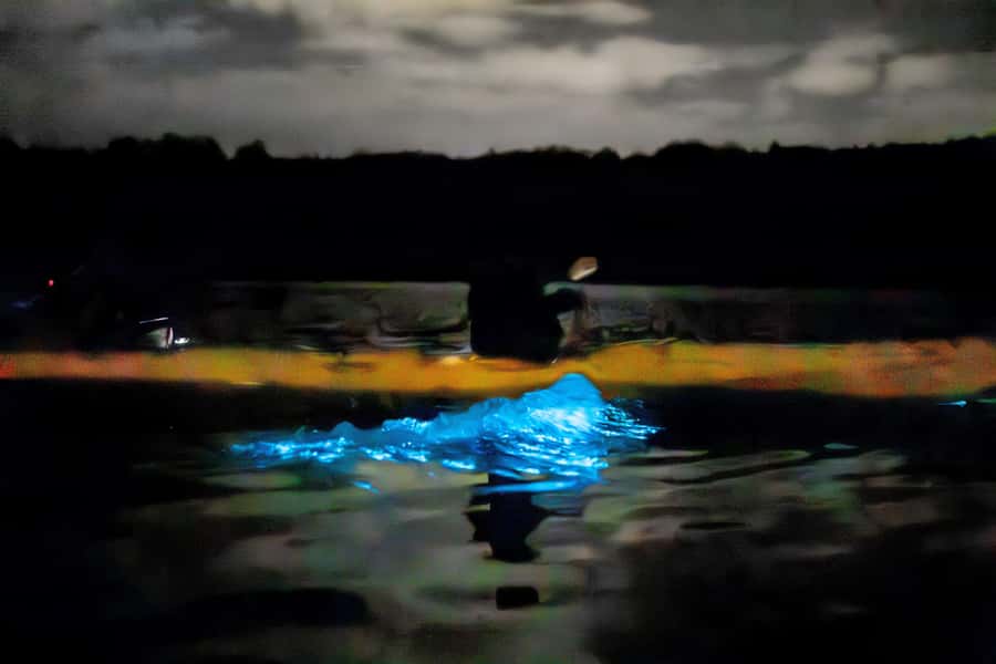 Auckland: Night Kayak Tour in Glowing Bioluminescent Waters - Kayaking Time: 75 Minutes of Sea Sparkle Watching