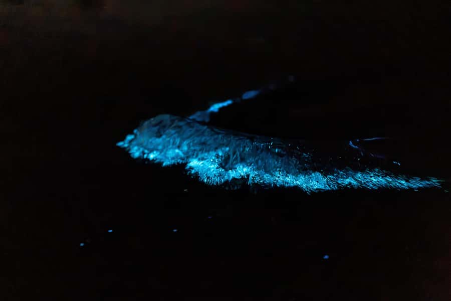 Auckland: Night Kayak Tour in Glowing Bioluminescent Waters - The 15-Minute Break: Catch Your Breath, Warm Up