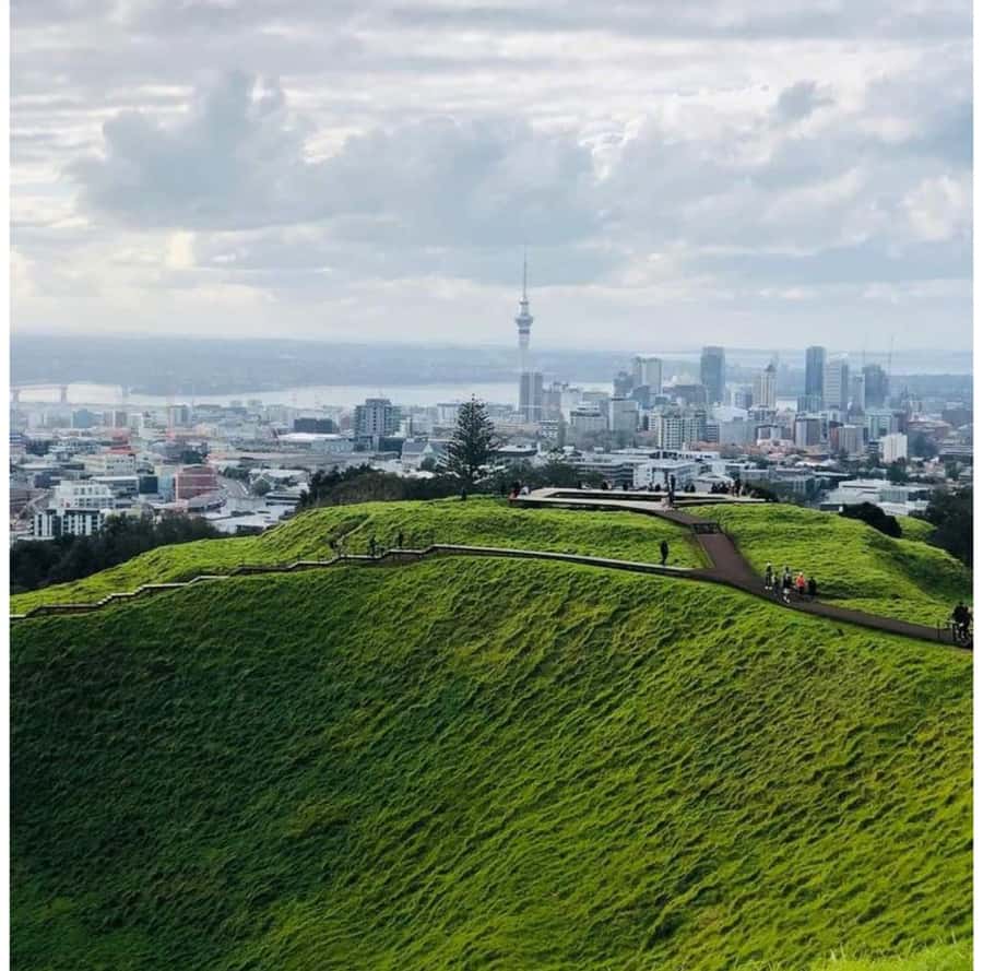 Auckland: Piha Beach, Rainforest, & Mount Eden Private Tour - Key things you’ll remember most
