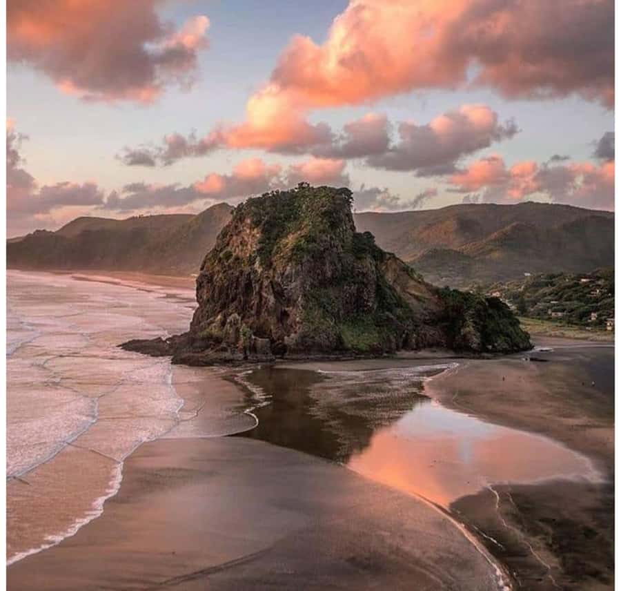 Auckland: Piha Beach, Rainforest, & Mount Eden Private Tour - From Auckland to the Waitākere Ranges: step away quickly