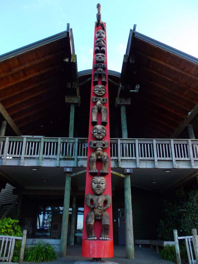 Auckland: Piha Beach, Rainforest, & Mount Eden Private Tour - Rainforest walk: kauri giants, palms, and a waterfall moment