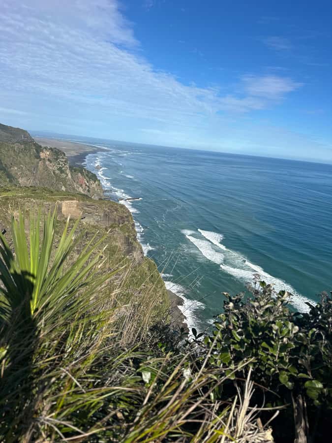 Auckland: Piha Beach, Rainforest, & Mount Eden Private Tour - Piha Beach and Lion Rock: black sand, powerful surf, classic New Zealand drama