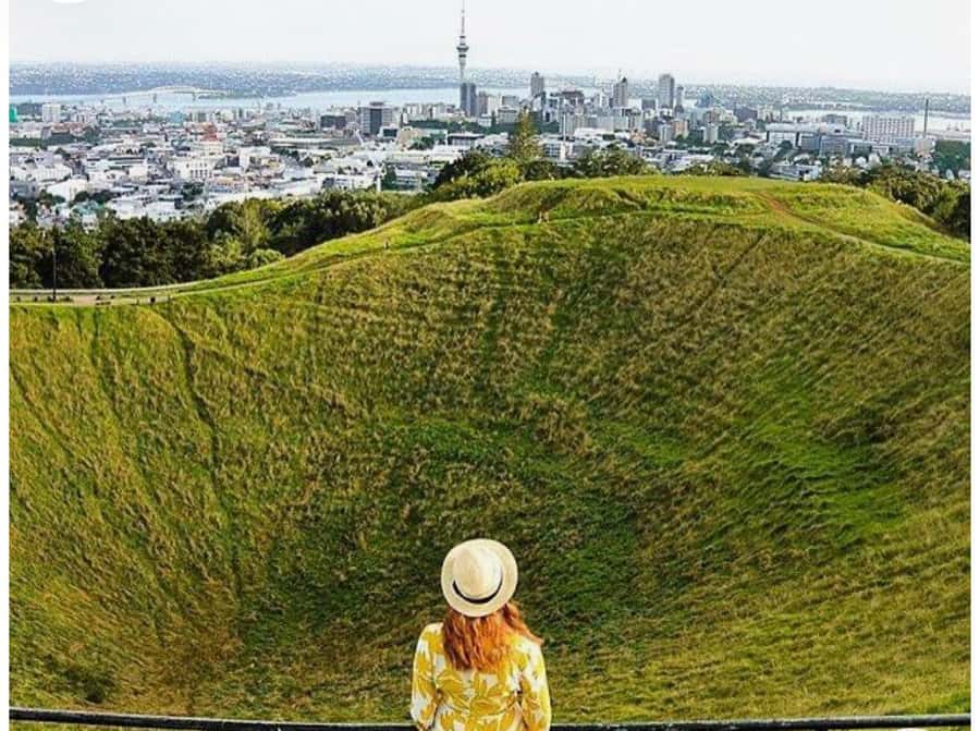 Auckland: Piha Beach, Rainforest, & Mount Eden Private Tour - Price and value: is $262 worth it for a private five-hour day?