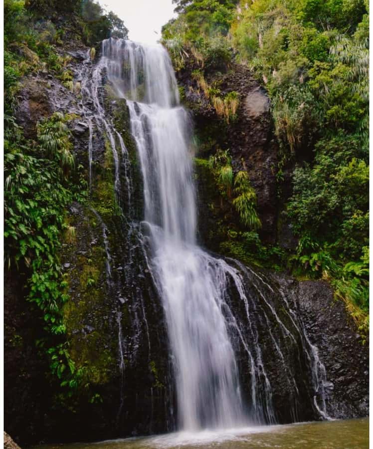 Auckland: Piha Beach, Rainforest, & Mount Eden Private Tour - Guide experience, languages, and why private changes everything