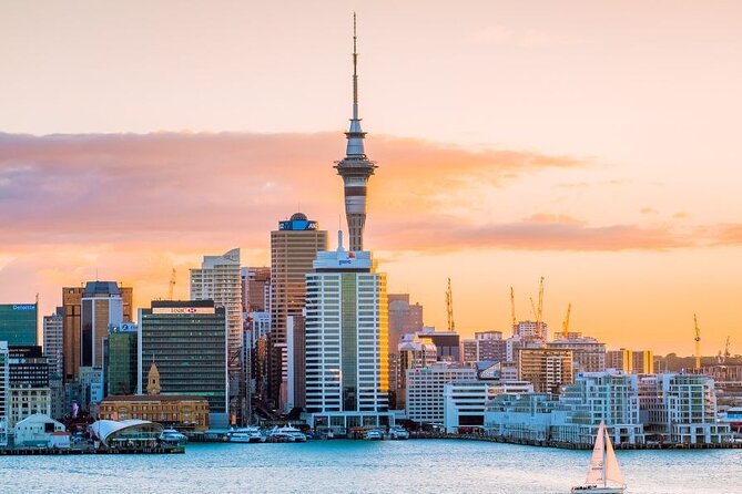 Auckland Private Custom Walking Tour with A Guide (Private Tour) - Meeting your guide and getting oriented fast