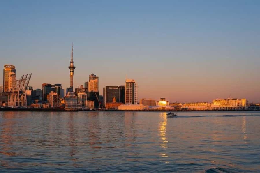 Auckland: Private Customizable Walking Tour with Local Guide - Why a private Auckland walking route feels easier than DIY