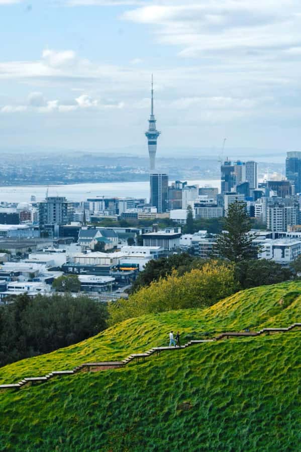 Auckland: Private Walking Tour with a Local - Meeting Your Lokafyer at Queen Street or Auckland Domain
