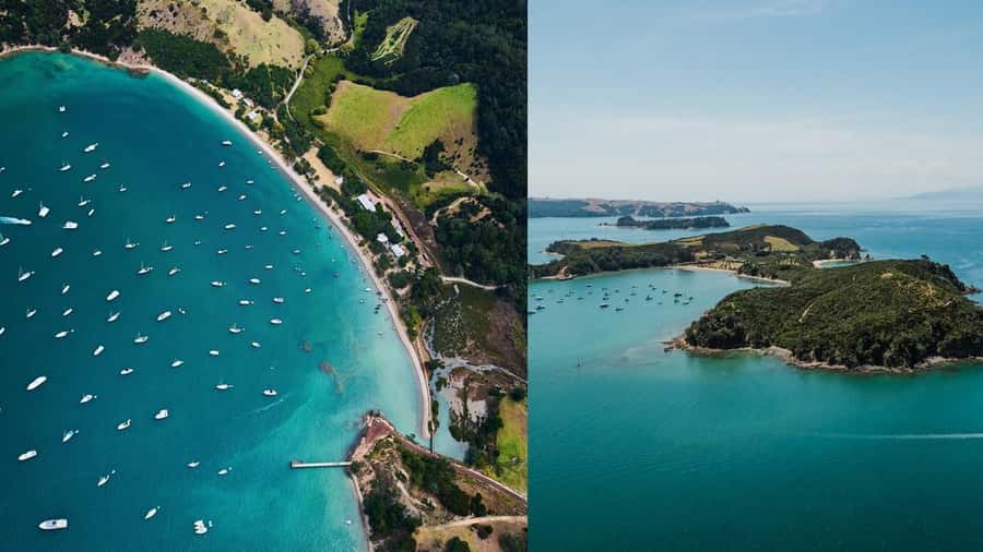 Auckland: Rotoroa Island and Man O'War Vineyard Combo Tour - A perfect 7-hour mix: Rotoroa walks and Man O War wine