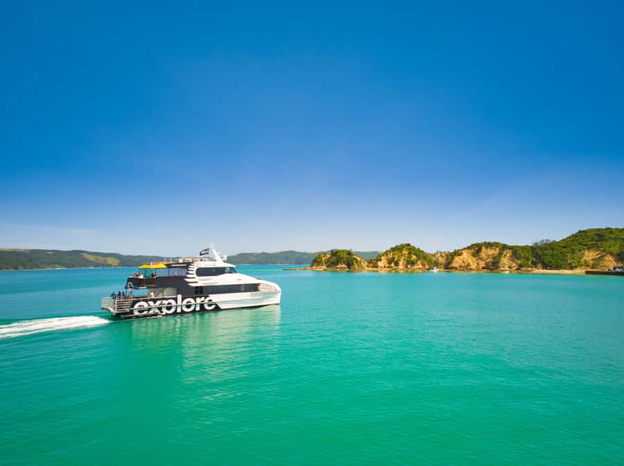 Auckland: Rotoroa Island and Man O'War Vineyard Combo Tour - Rotoroa Island: native bush walks, coastal views, and beach time