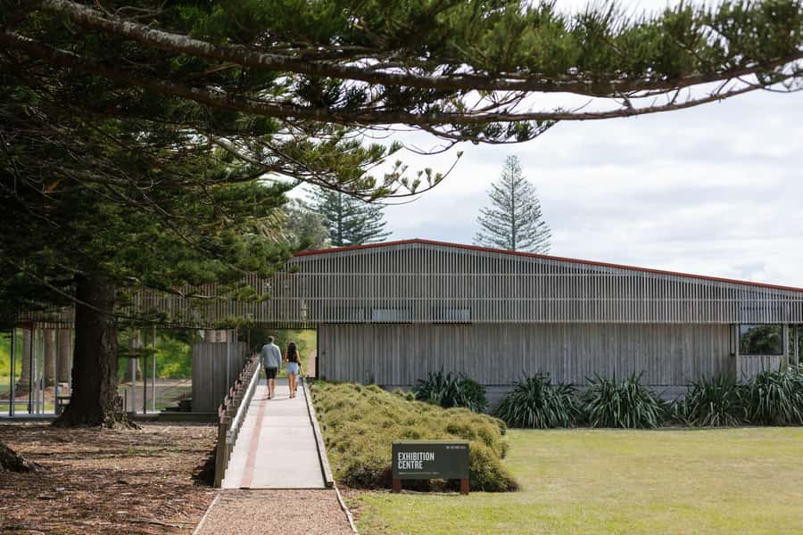 Auckland: Rotoroa Island and Man O'War Vineyard Combo Tour - The ferry rhythm from Auckland, and why it matters