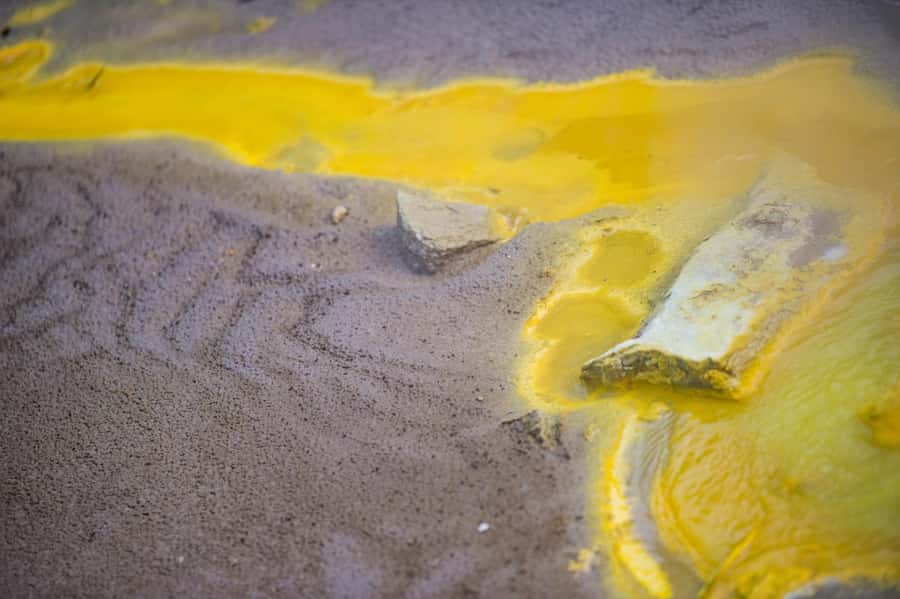 Auckland: Rotorua Māori Cultural & Geothermal Tour & Lunch - Price and Value for $264: What You’re Really Paying For