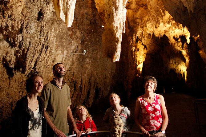 Auckland: Rotorua Māori Village, Waitomo Caves & Lunch - Practical tips for a smooth 12-hour day