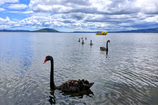 Auckland: Rotorua, Taupo, Waiotapu & Huka Falls Private Trip - Price and value: is $465.43 per person worth it?