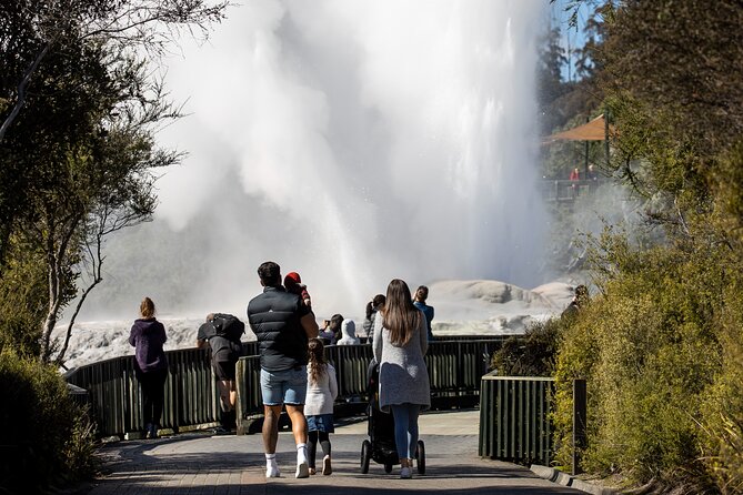 Auckland: Rotorua Te Puia with Haka & Polynesian Spa Small Group - Key highlights worth caring about