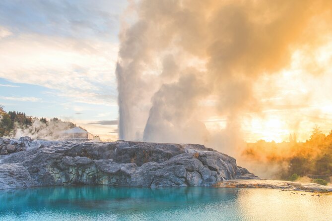 Auckland: Rotorua Te Puia with Haka & Polynesian Spa Small Group - Te Puia thermal valley at Whakarewarewa: steam, sulfur, and kiwi time