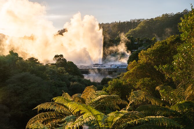 Auckland: Rotorua Te Puia with Haka & Polynesian Spa Small Group - Polynesian Spa Deluxe Lake Spa: what 2 hours of geothermal calm feels like