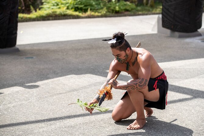 Auckland: Rotorua Te Puia with Haka & Polynesian Spa Small Group - Who should book this Auckland to Rotorua day trip