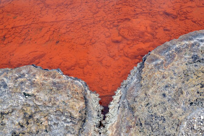 Auckland: Rotorua Tour with Waiotapu, Te Puia and Maori Haka - Te Puia and Te Ra + Haka: kiwi, geyser power, and Māori performance you can feel