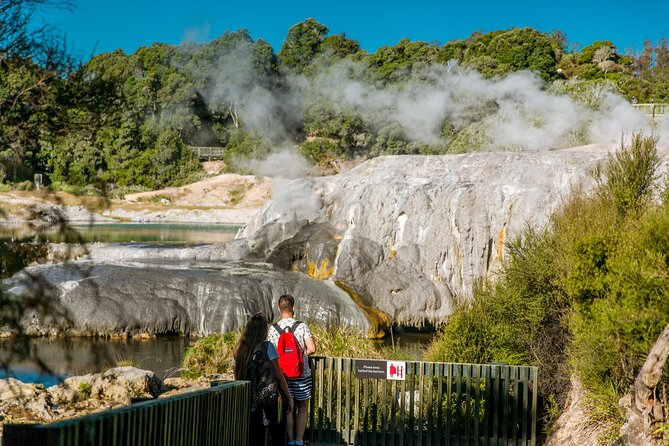 Auckland: Rotorua Tour with Waiotapu, Te Puia and Maori Haka - Who this tour fits best, and who might want a different plan