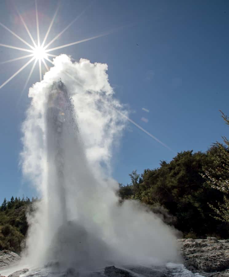 Auckland: Rotorua Wai-O-Tapu, Te Puia with Haka - Price and value: what $236 buys you for two major parks and culture
