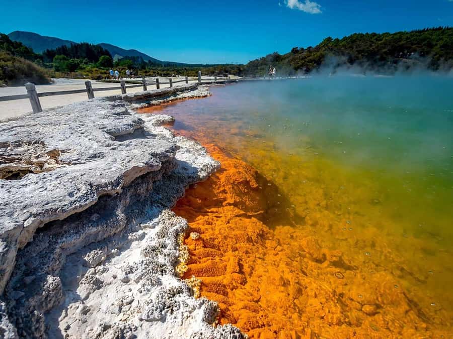 Auckland: Rotorua Wai-O-Tapu, Te Puia with Haka - Wai-O-Tapu: Lady Knox, Champagne Pool, and the color of steam