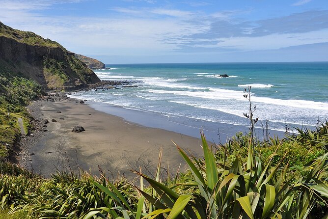 Auckland's Wild West Coast & Black Sand Beaches Tour inc Lunch - Key Highlights You Should Care About