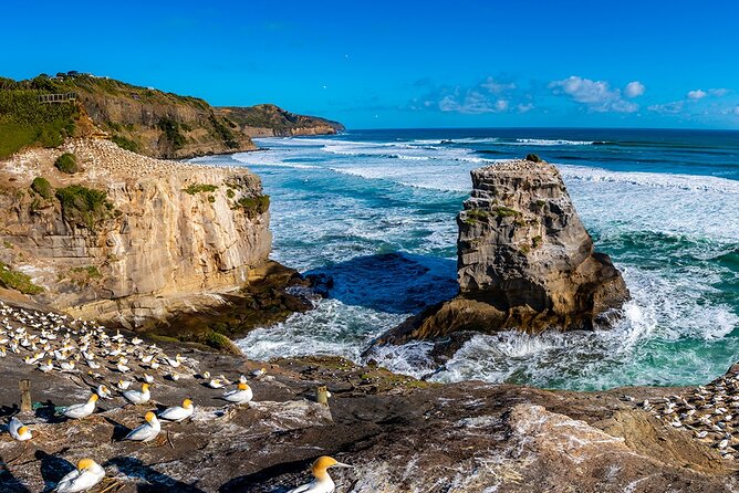 Auckland's Wild West Coast & Black Sand Beaches Tour inc Lunch - Sky Tower Departure and the Harbour Bridge Moment