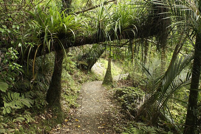 Auckland's Wild West Coast & Black Sand Beaches Tour inc Lunch - Hallertau Brewery Lunch: Included Comfort, Not a Random Meal