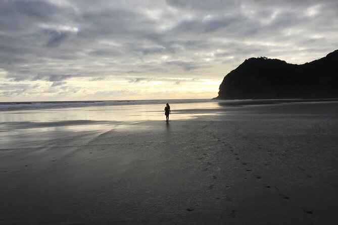 Auckland's Wild West Coast & Black Sand Beaches Tour inc Lunch - Muriwai Gannet Colony: A Real Wildlife Moment