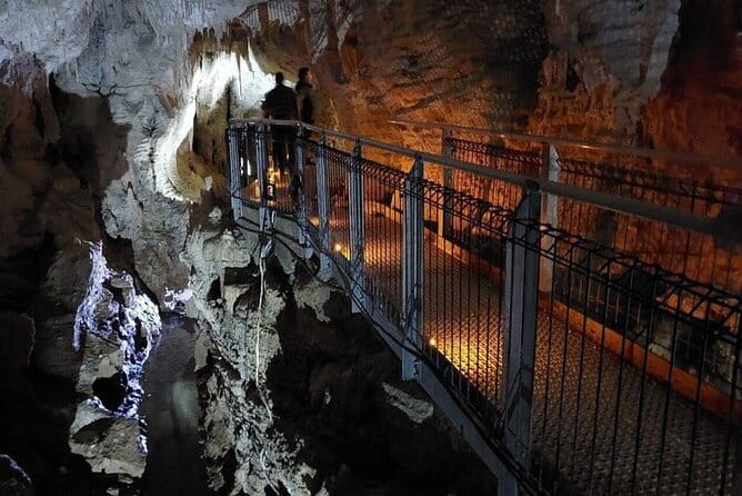 Auckland's Wild West Coast & Black Sand Beaches Tour inc Lunch - Devonport and North Head Historic Reserve for Big Views