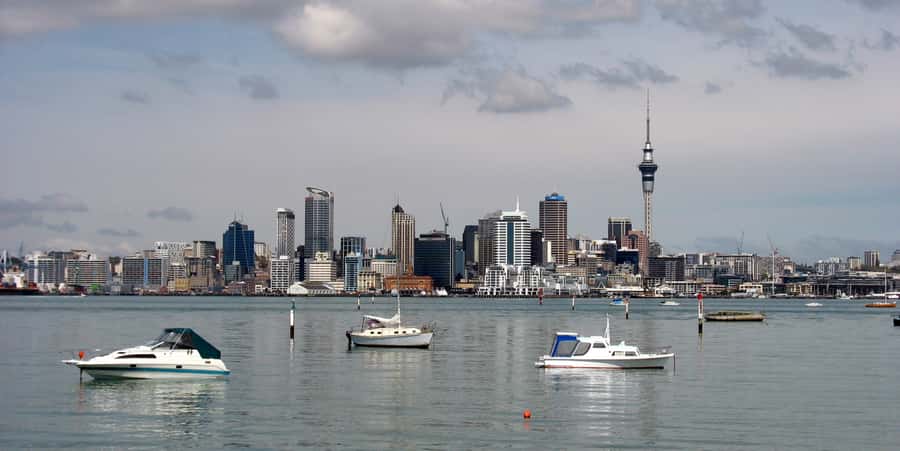 Auckland Scenic Half-Day City Sightseeing Tour - Key things to know before you go