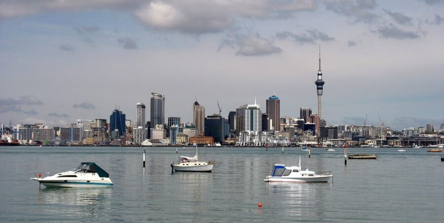 Auckland Scenic Half-Day City Sightseeing Tour - Who this tour fits, and who might want more time elsewhere
