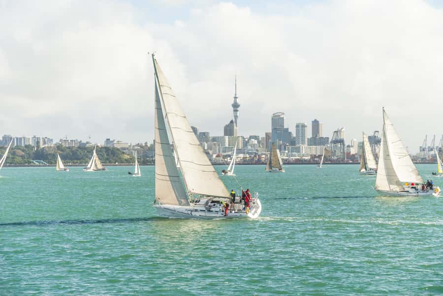 Auckland Scenic Half-Day City Sightseeing Tour - Starting at 99 Quay Street, then getting oriented fast