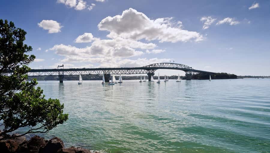 Auckland Scenic Half-Day City Sightseeing Tour - Auckland Domain, Parnell, Mission Bay, and Achilles Point